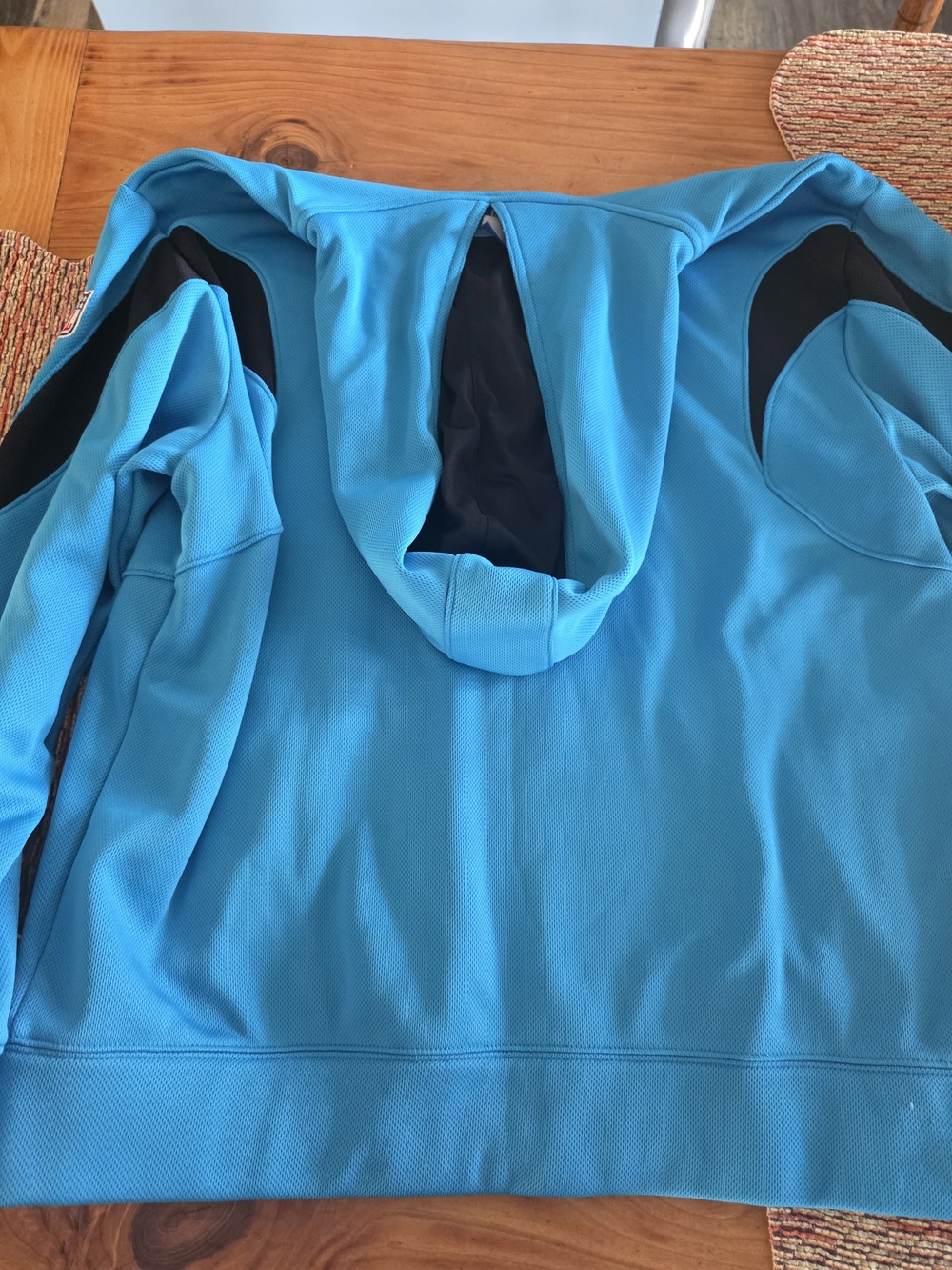 Reebok Panthers Hoodie in Bright Teal - Picture 6 of 7